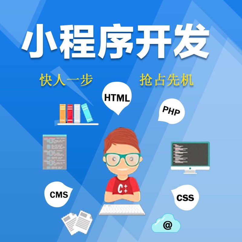 小程序开发：拥抱数字化时代的便捷新宠